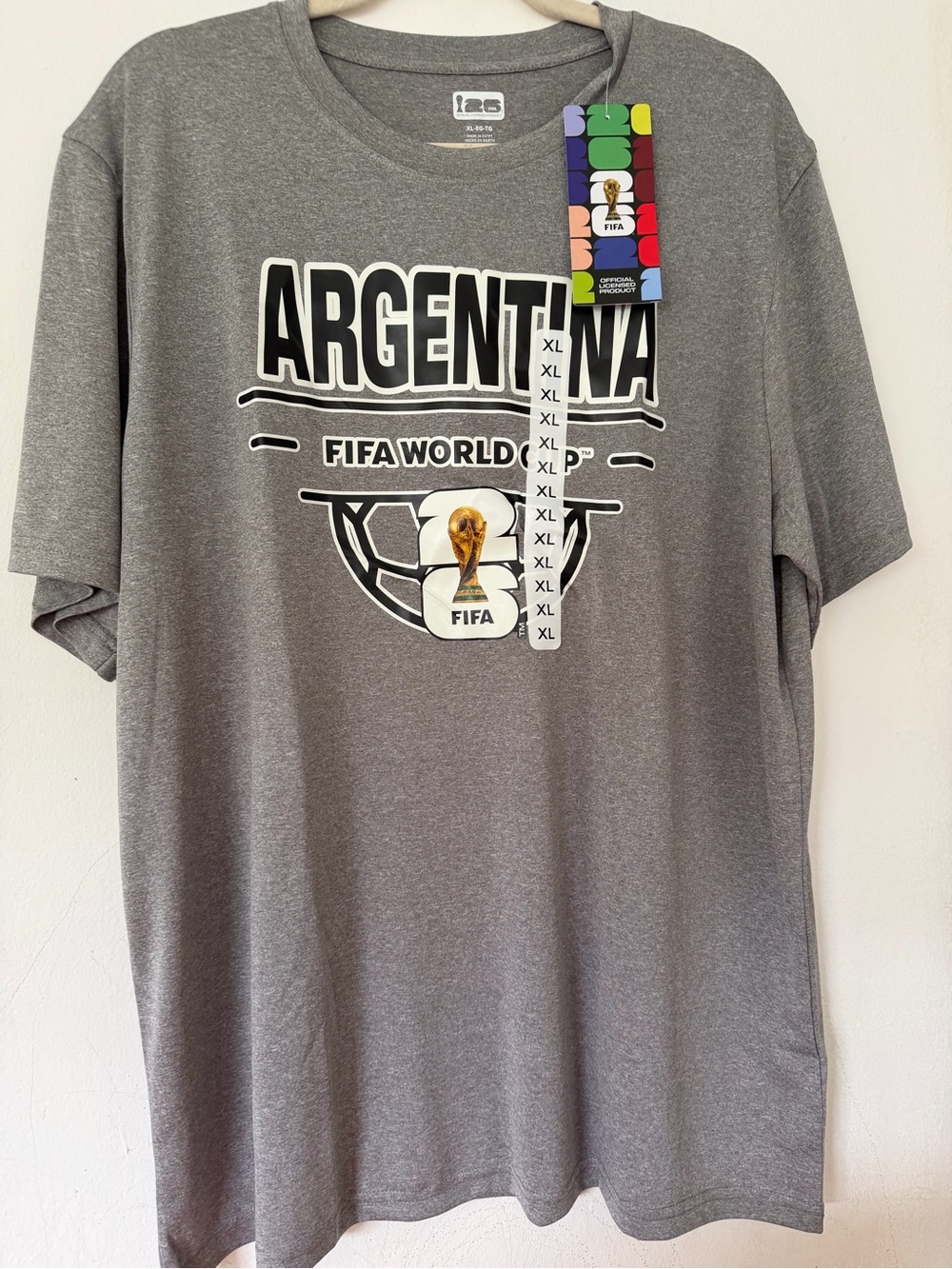 Argentina FIFA World Cup Gray Graphic Short Sleeve Tee